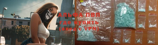 гидра Алексин