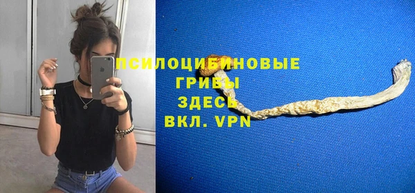гидра Алексин