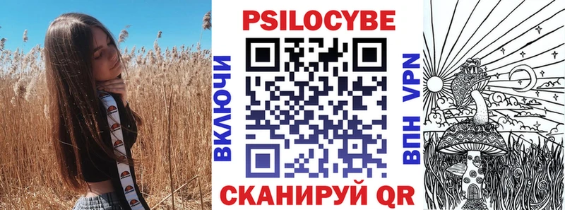 Псилоцибиновые грибы GOLDEN TEACHER  дарк нет наркотические препараты  Мурино 